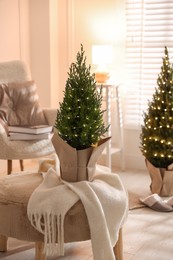 Photo of Small spruce trees decorated with Christmas lights indoors