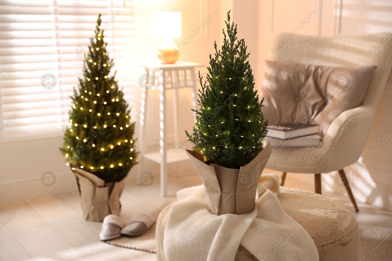 Photo of Small spruce trees decorated with Christmas lights indoors