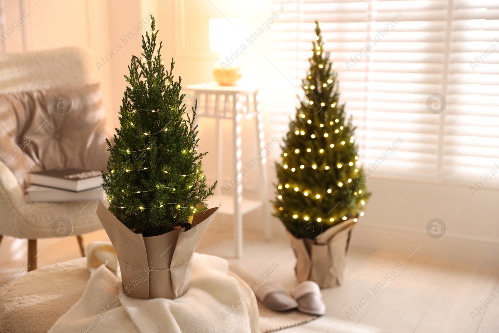 Photo of Small spruce trees decorated with Christmas lights indoors