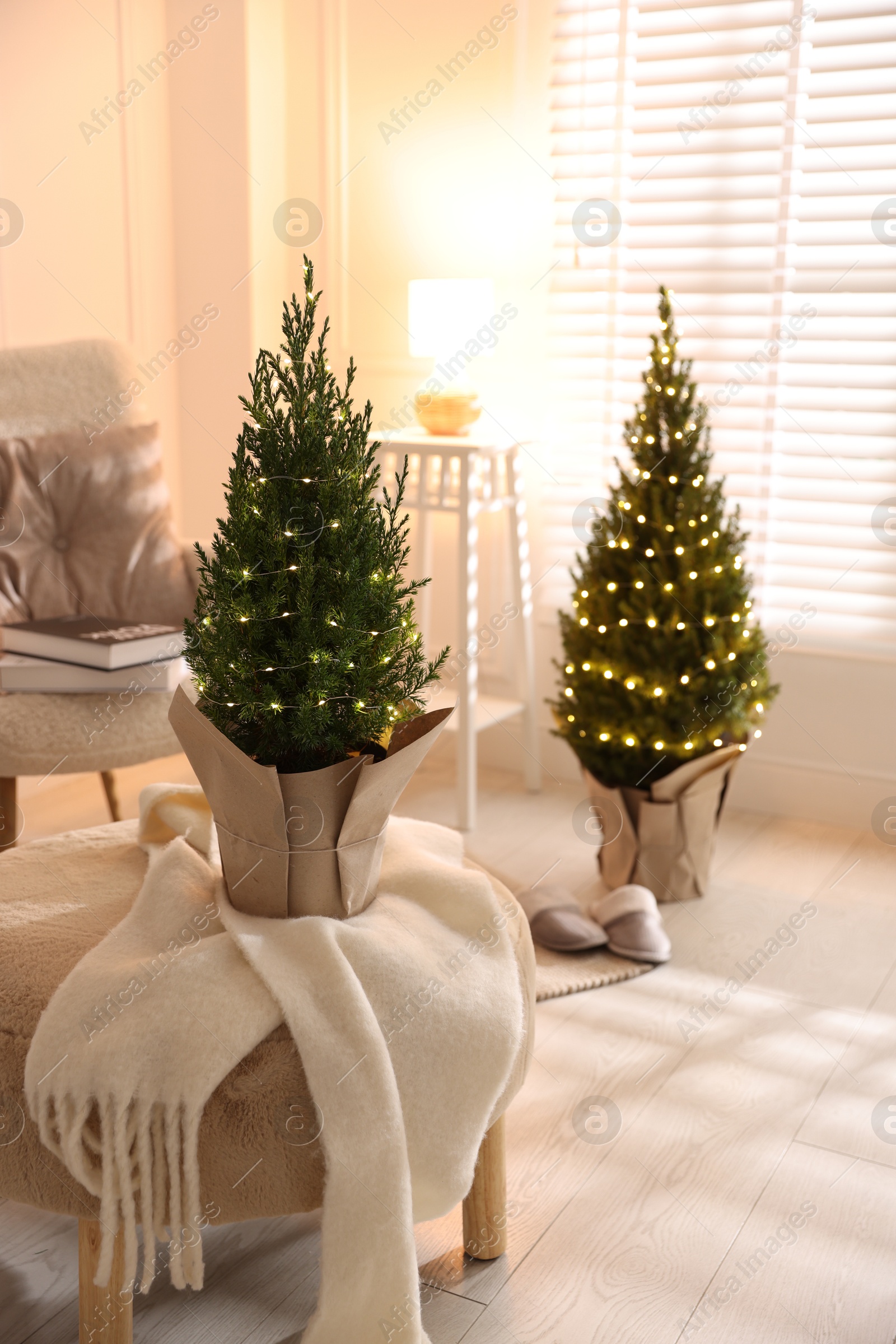 Photo of Small spruce trees decorated with Christmas lights indoors