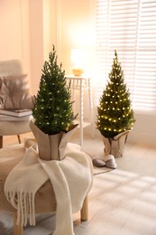 Photo of Small spruce trees decorated with Christmas lights indoors