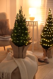 Photo of Small spruce trees decorated with Christmas lights indoors