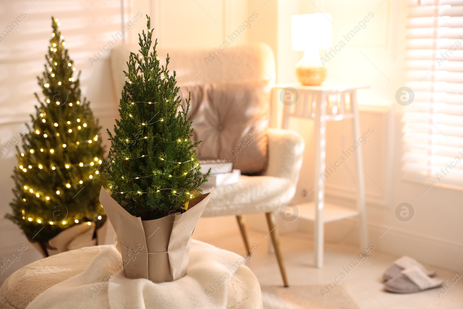 Photo of Small spruce trees decorated with Christmas lights indoors