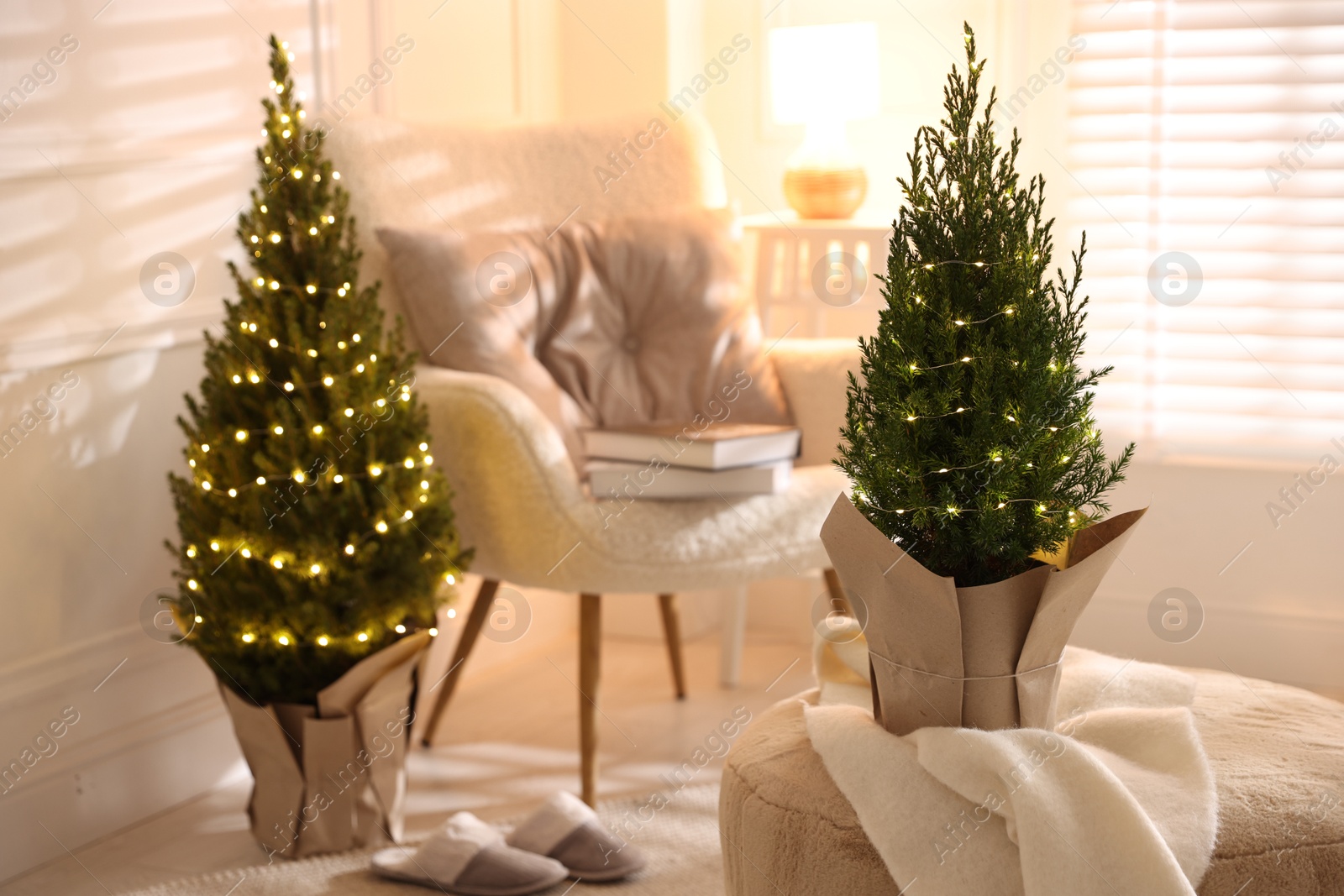 Photo of Small spruce trees decorated with Christmas lights indoors