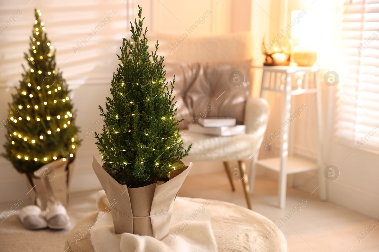 Photo of Small spruce trees decorated with Christmas lights indoors