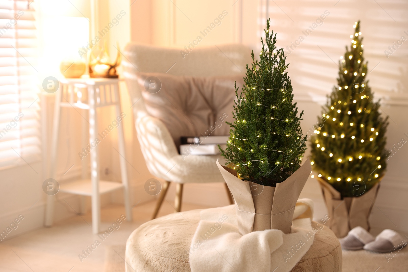 Photo of Small spruce trees decorated with Christmas lights indoors