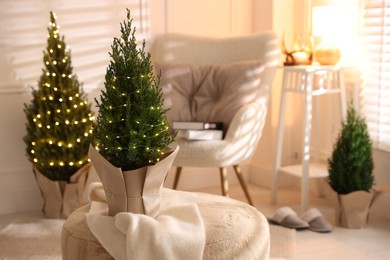 Photo of Small spruce trees decorated with Christmas lights indoors