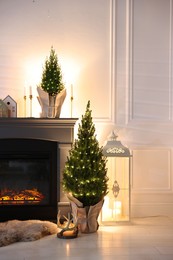 Photo of Small spruce trees decorated with Christmas lights near fireplace indoors