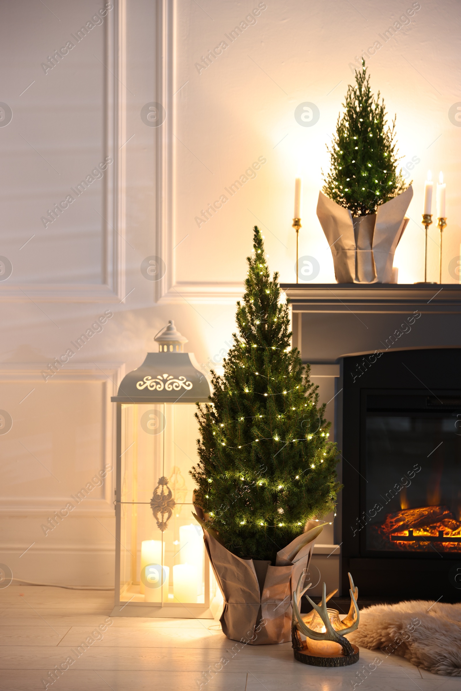 Photo of Small spruce trees decorated with Christmas lights near fireplace indoors