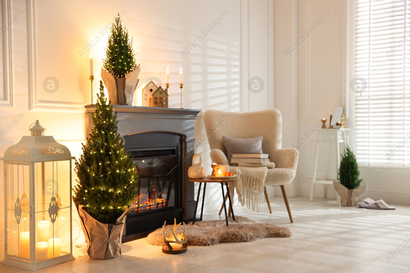 Photo of Small spruce trees decorated with Christmas lights near fireplace indoors