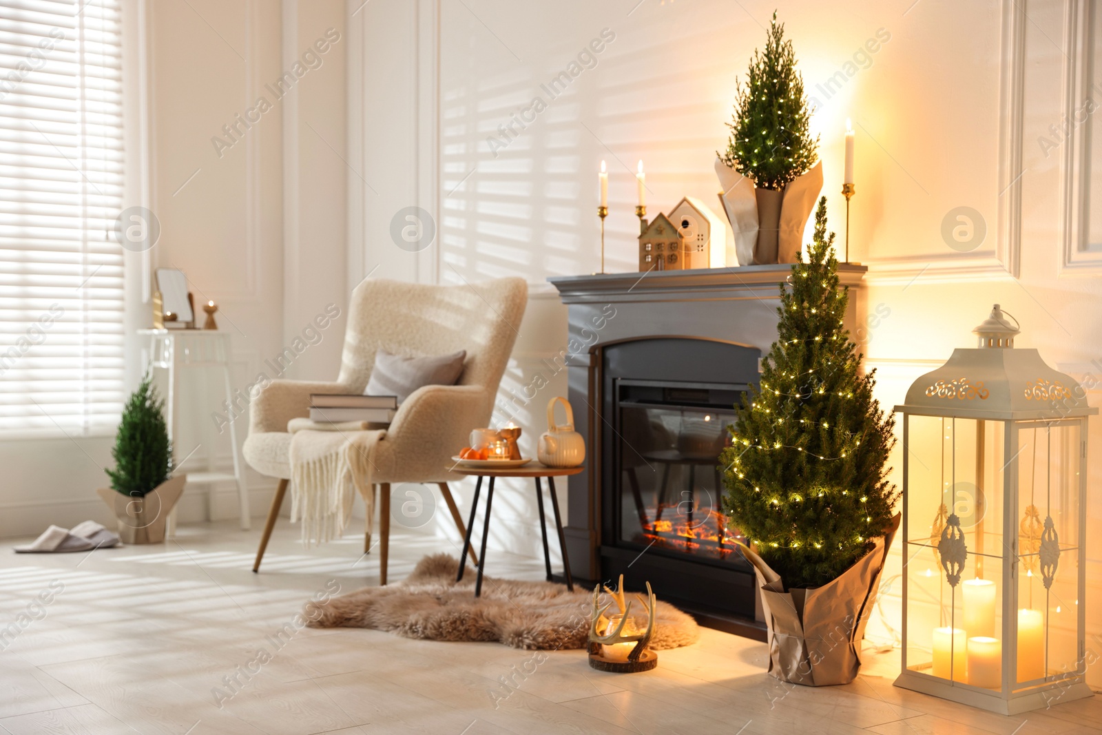 Photo of Small spruce trees decorated with Christmas lights near fireplace indoors