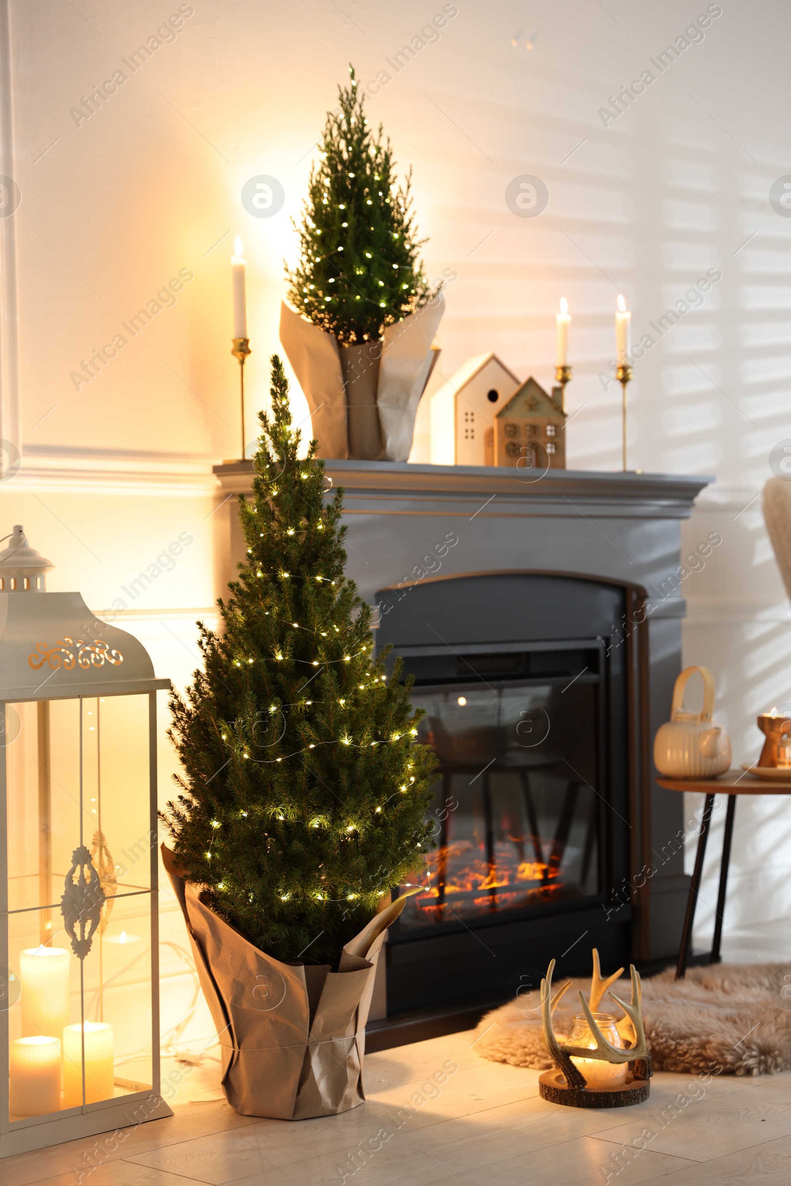 Photo of Small spruce trees decorated with Christmas lights near fireplace indoors