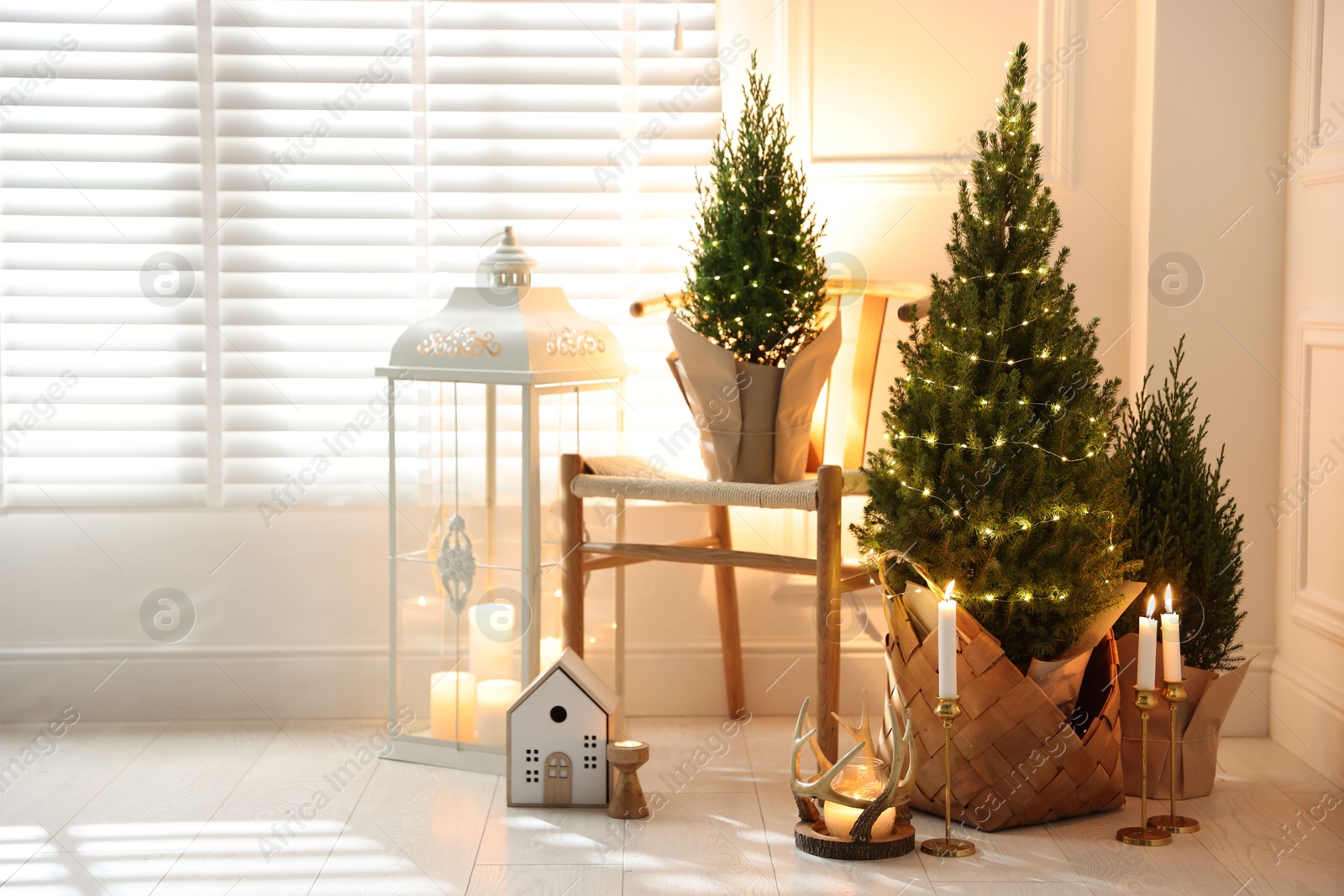 Photo of Small spruce trees with Christmas lights and other decor indoors