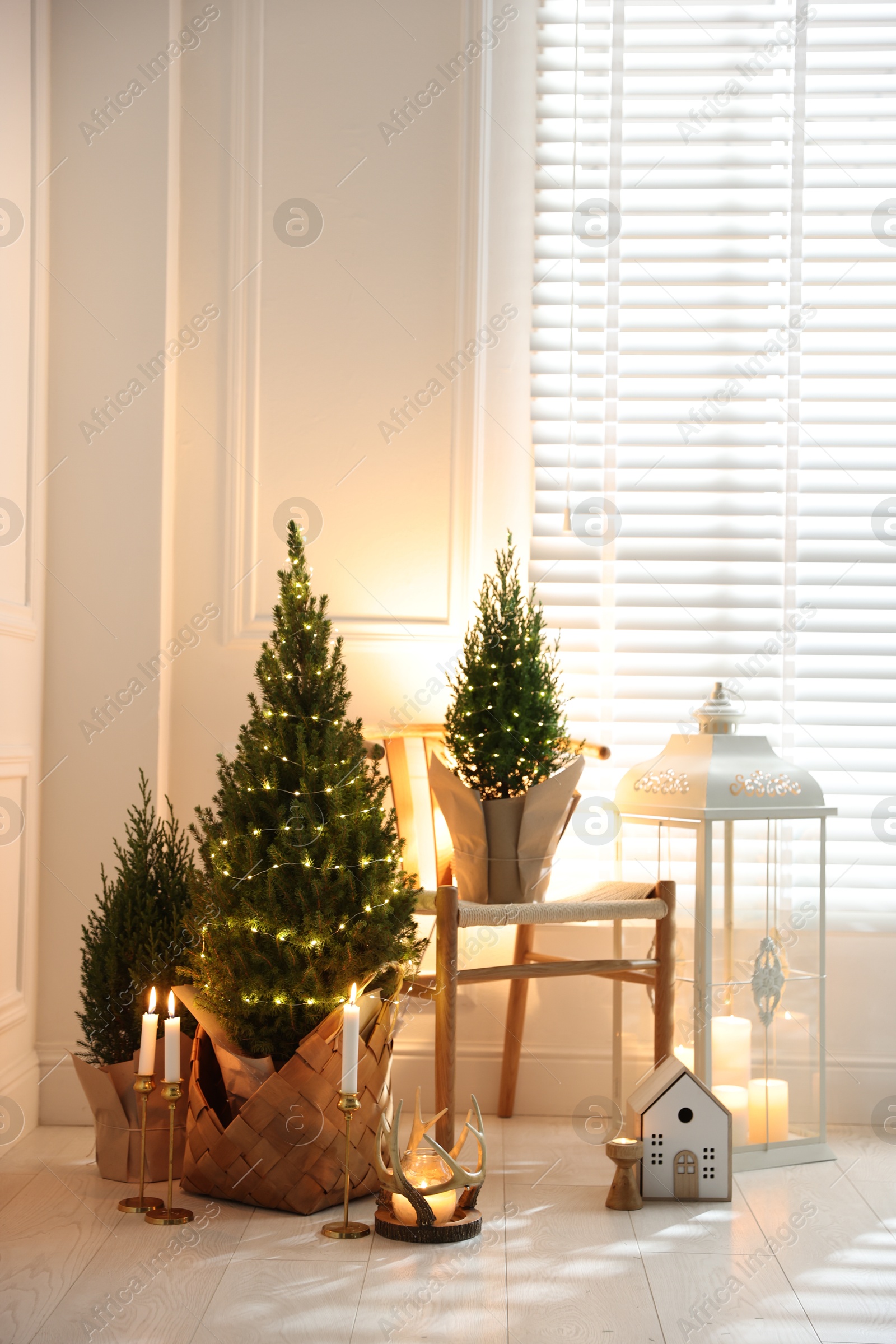 Photo of Small spruce trees with Christmas lights and other decor indoors