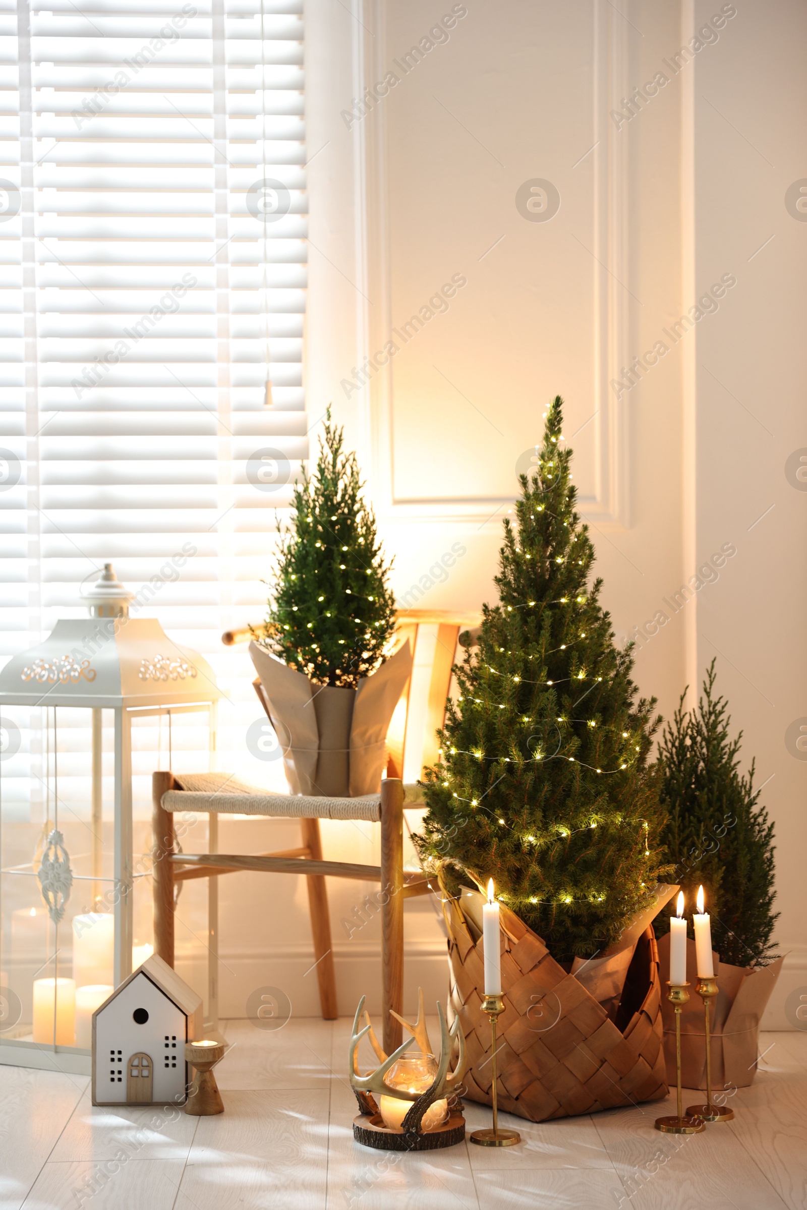 Photo of Small spruce trees with Christmas lights and other decor indoors