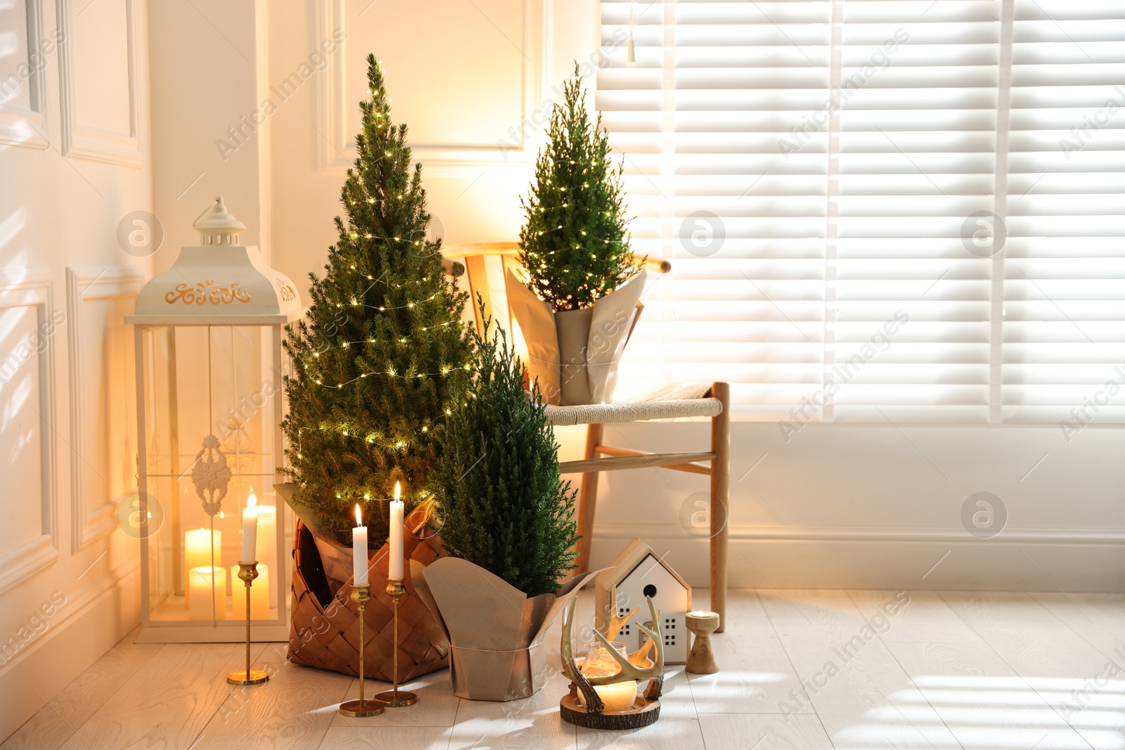 Photo of Small spruce trees with Christmas lights and other decor indoors