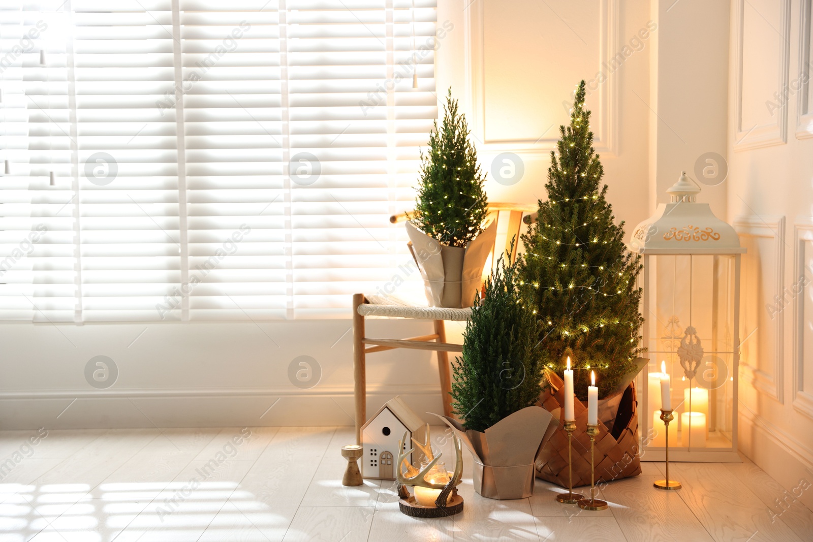 Photo of Small spruce trees with Christmas lights and other decor indoors. Space for text