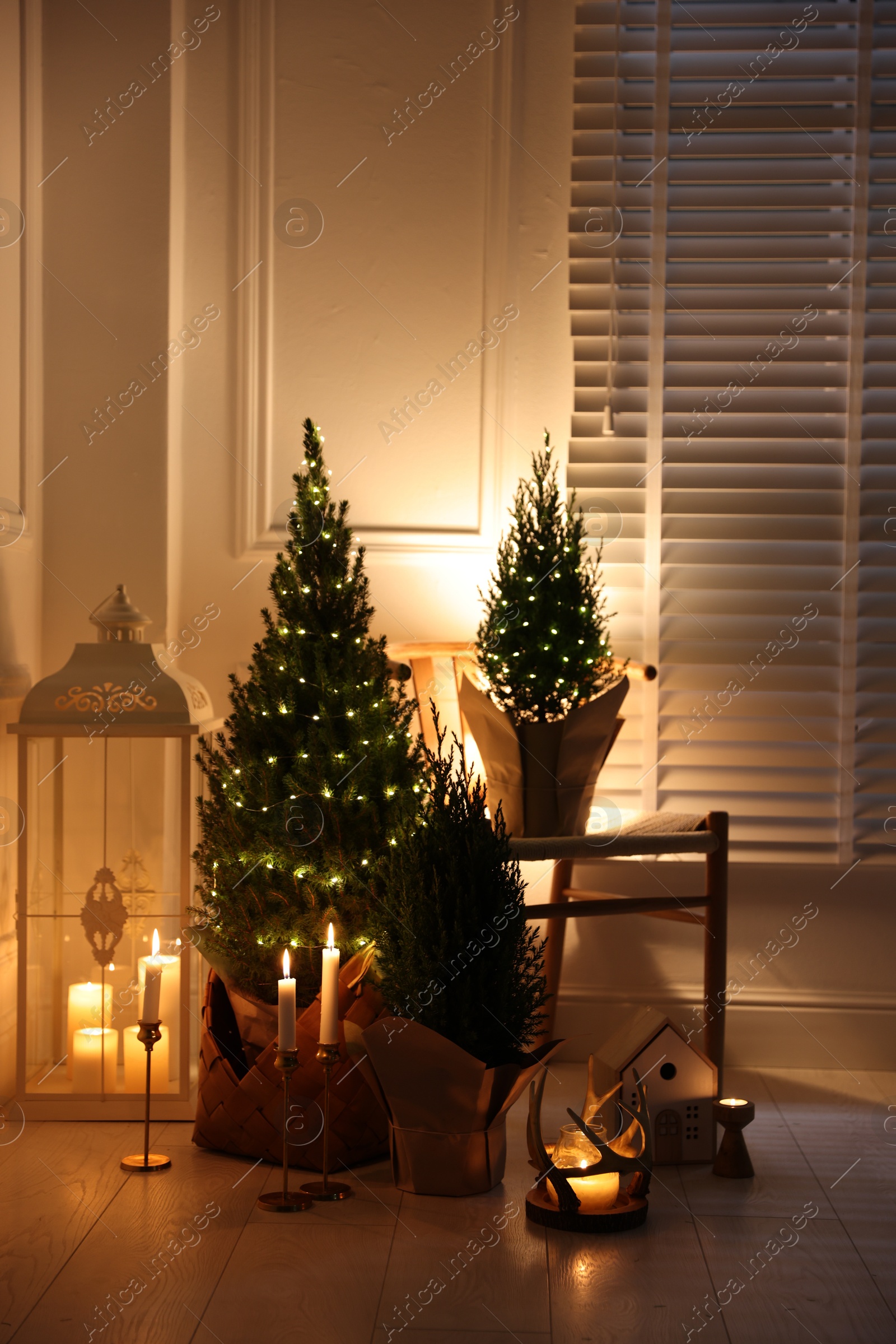 Photo of Small spruce trees with Christmas lights and other decor indoors