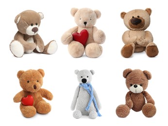 Different cute teddy bears isolated on white, collection