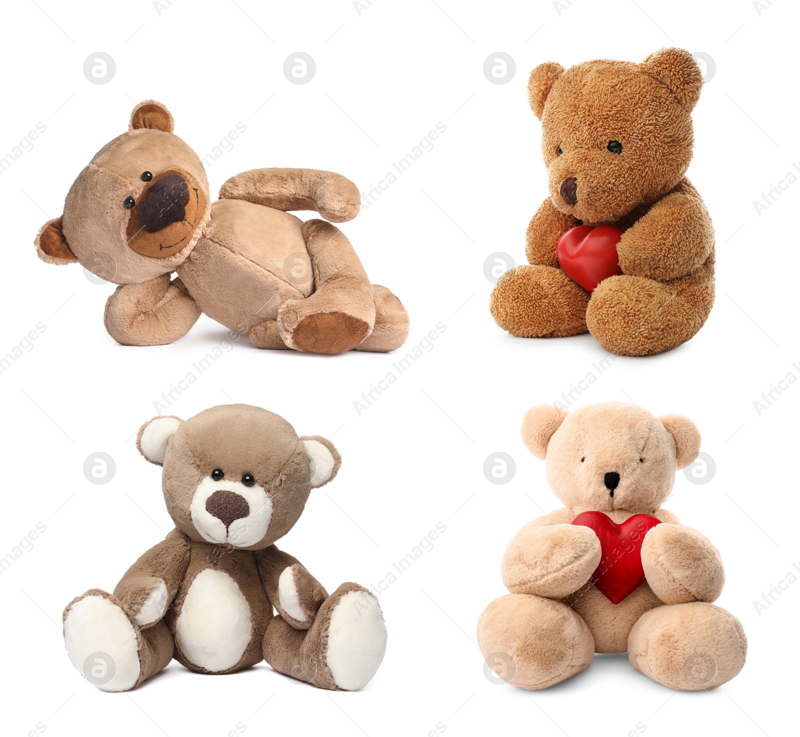 Image of Different cute teddy bears isolated on white, collection