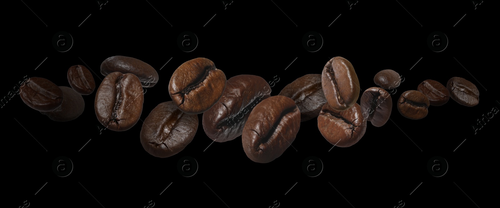 Image of Aromatic roasted coffee beans in air on black background. Banner design