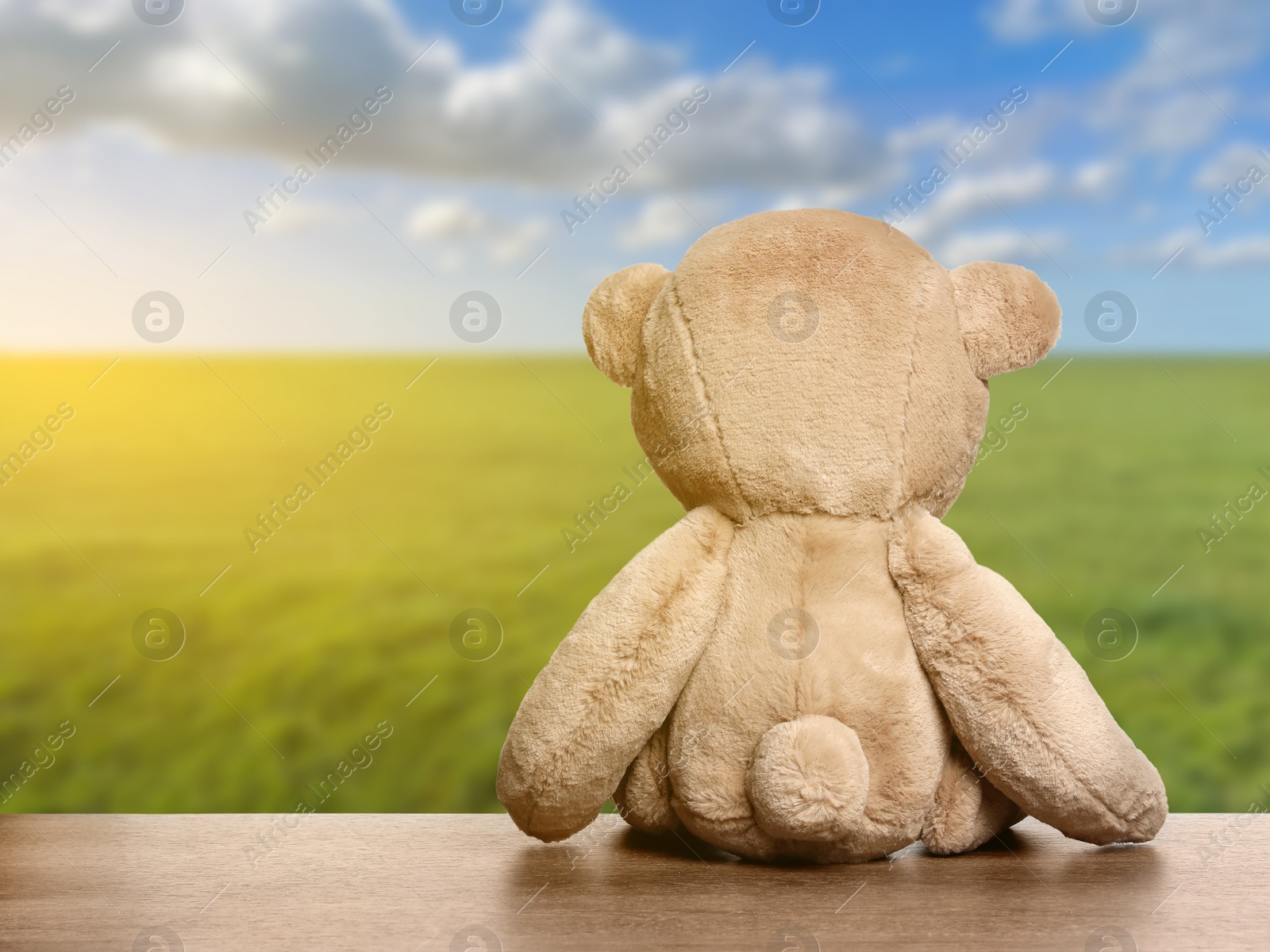 Image of Fluffy teddy bear on wooden surface looking at beautiful landscape, back view. Space for text