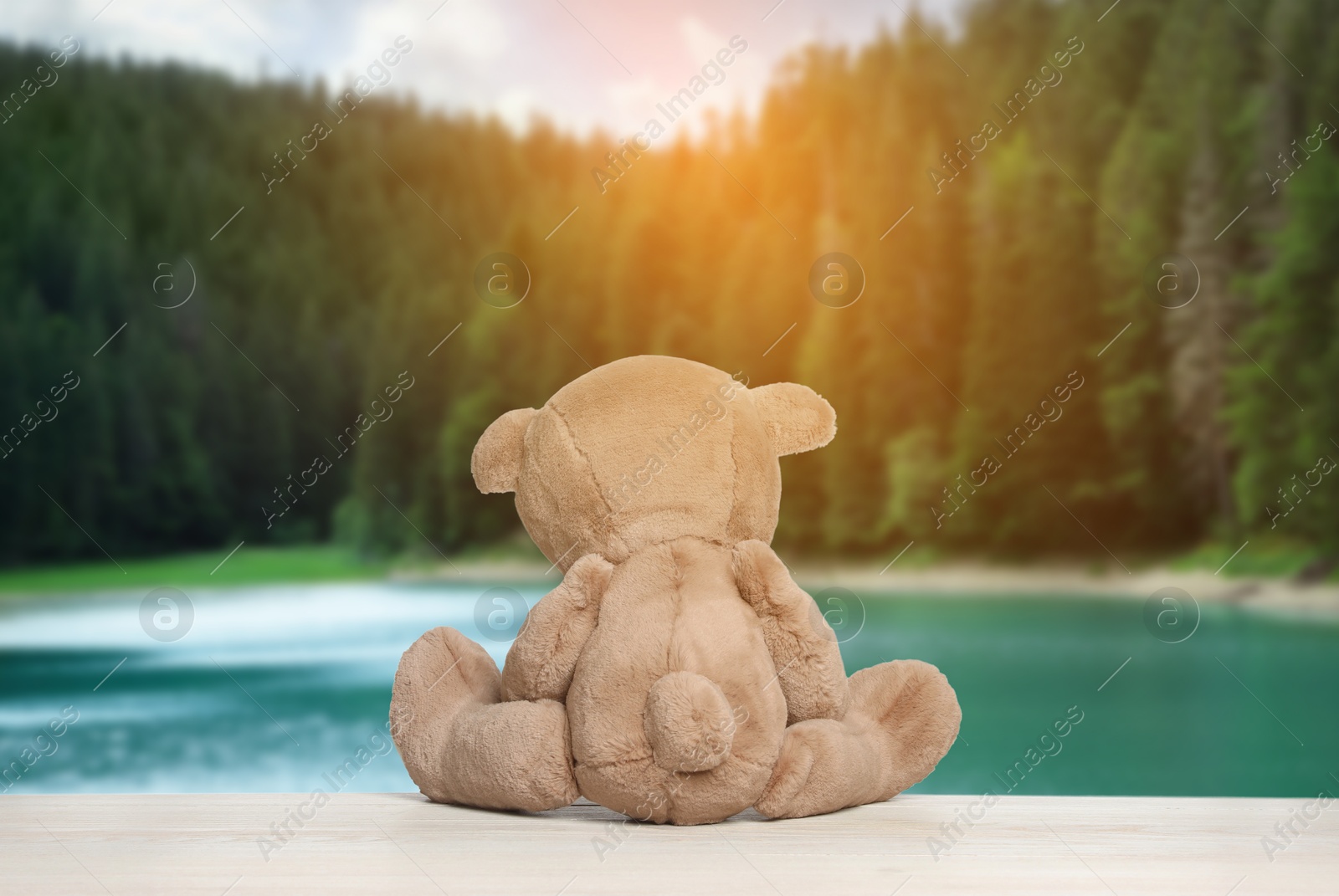 Image of Fluffy teddy bear on wooden surface looking at picturesque landscape, back view