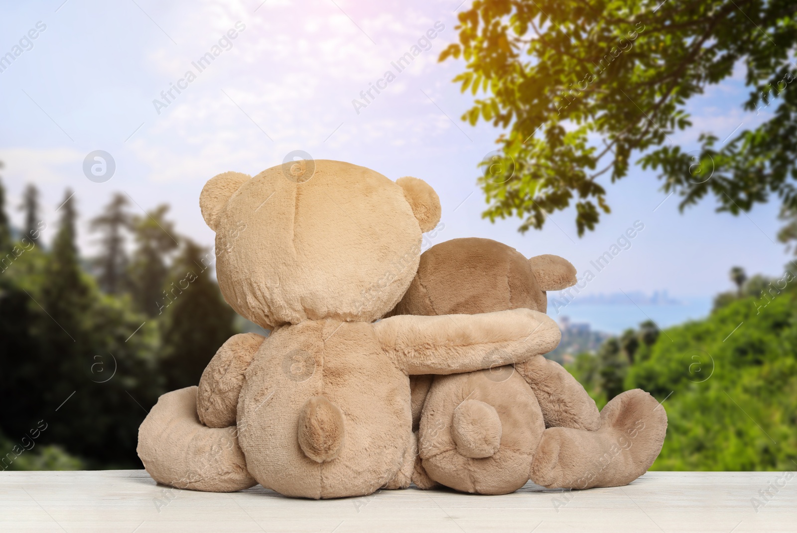 Image of Hugging teddy bears on wooden surface looking at picturesque landscape, back view