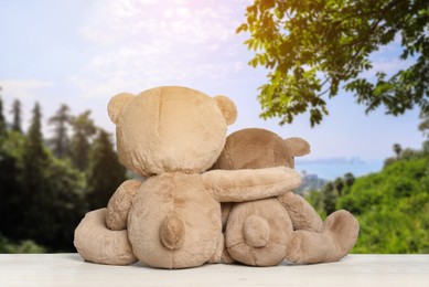 Image of Hugging teddy bears on wooden surface looking at picturesque landscape, back view