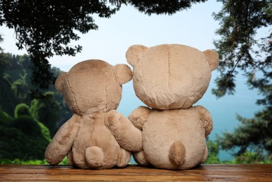 Image of Fluffy teddy bears on wooden surface looking at picturesque landscape, back view