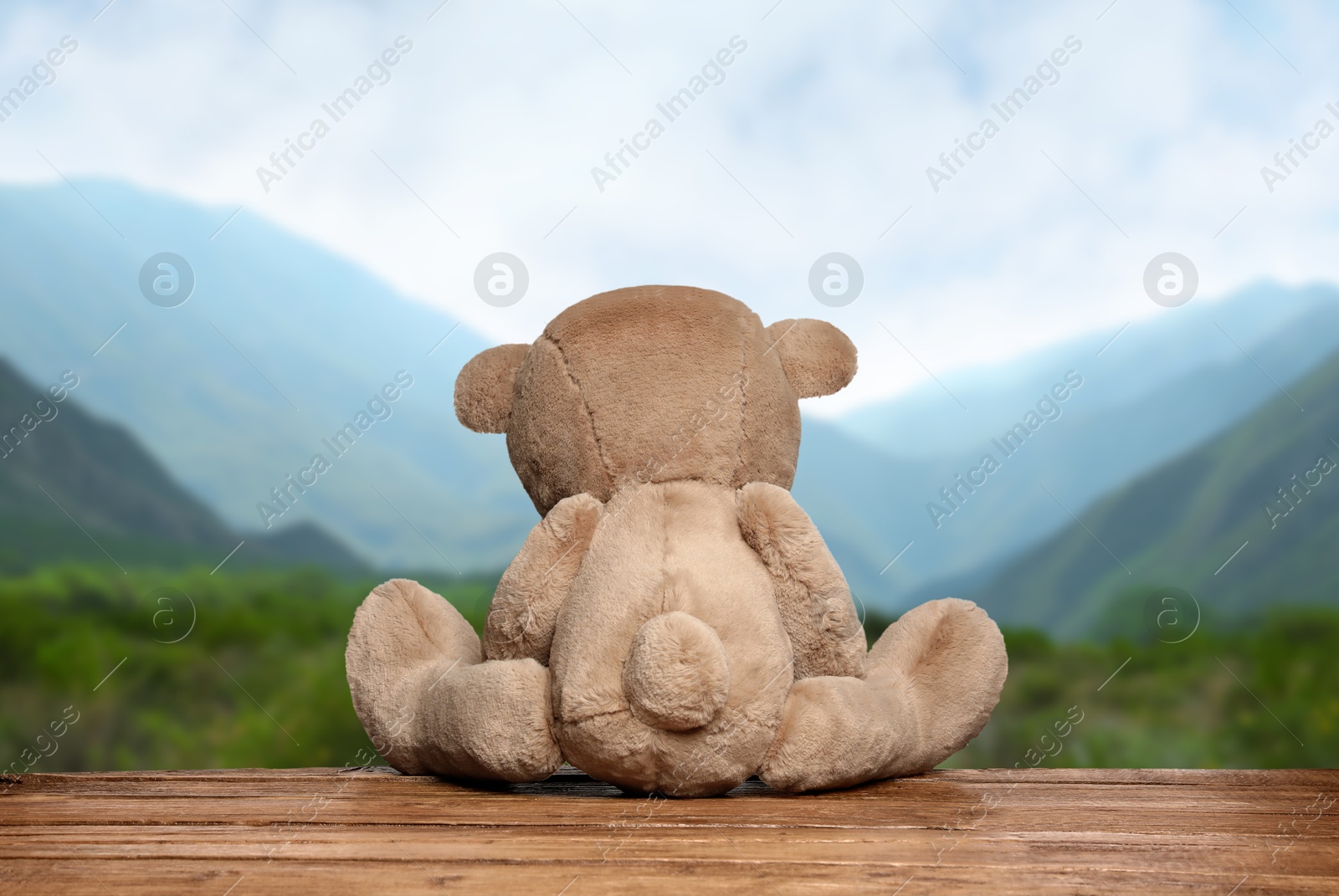 Image of Fluffy teddy bear on wooden surface looking at picturesque mountain landscape, back view