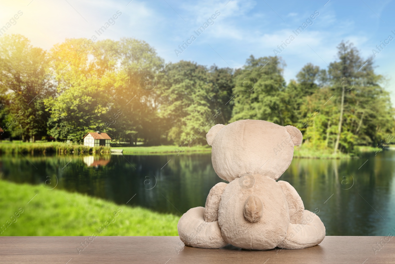 Image of Fluffy teddy bear on wooden surface looking at picturesque landscape, back view. Space for text