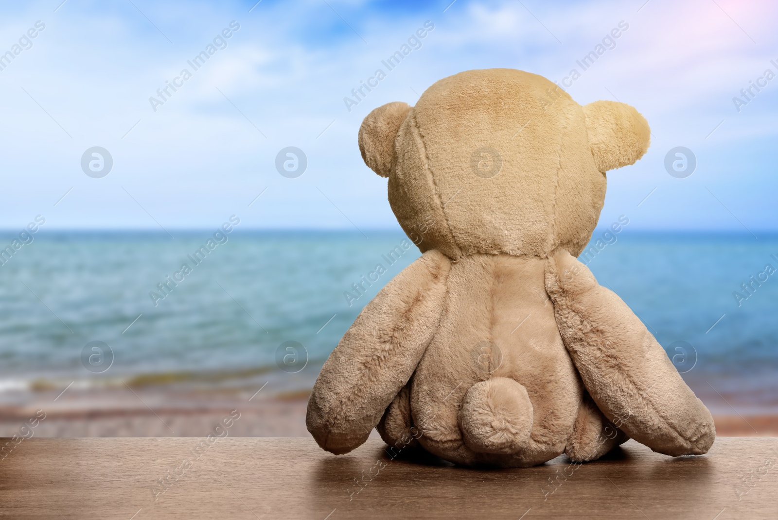 Image of Fluffy teddy bear on wooden surface looking at beautiful seascape, back view. Space for text