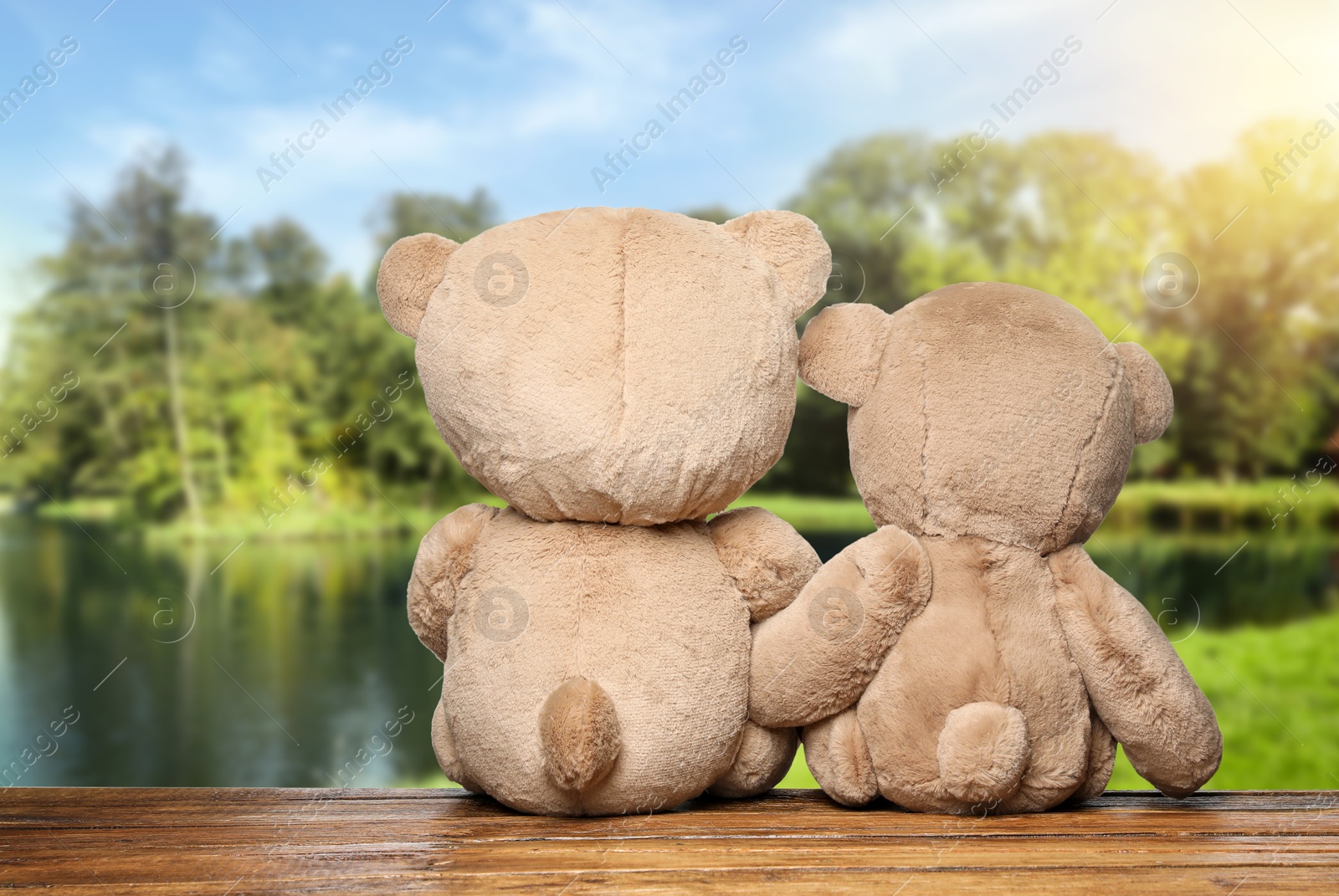 Image of Fluffy teddy bears on wooden surface looking at picturesque landscape, back view