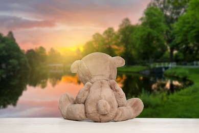 Image of Fluffy teddy bear on wooden surface looking at picturesque landscape, back view