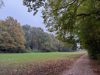 Photo of Beautiful view of pathway with fallen leaves in autumn park