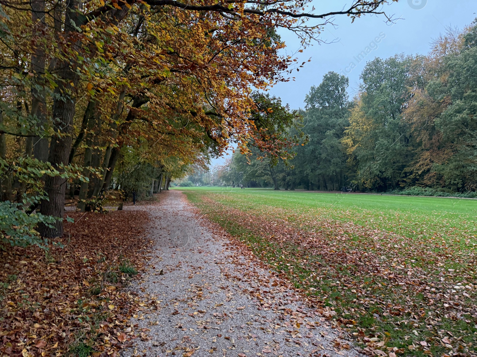 Photo of Beautiful view of pathway with fallen leaves in autumn park