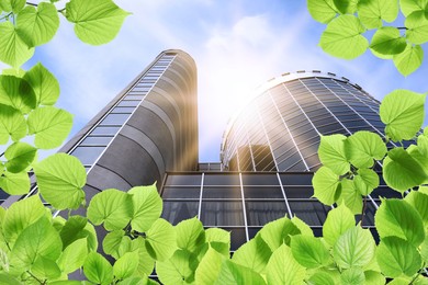 Image of Modern buildings on sunny day, view through green leaves. Low angle