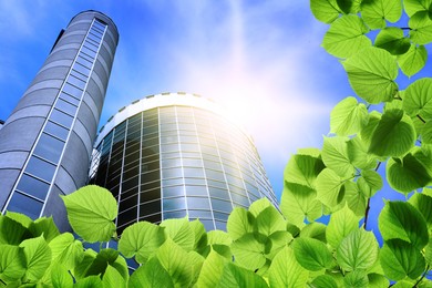 Image of Modern buildings on sunny day, view through green leaves. Low angle