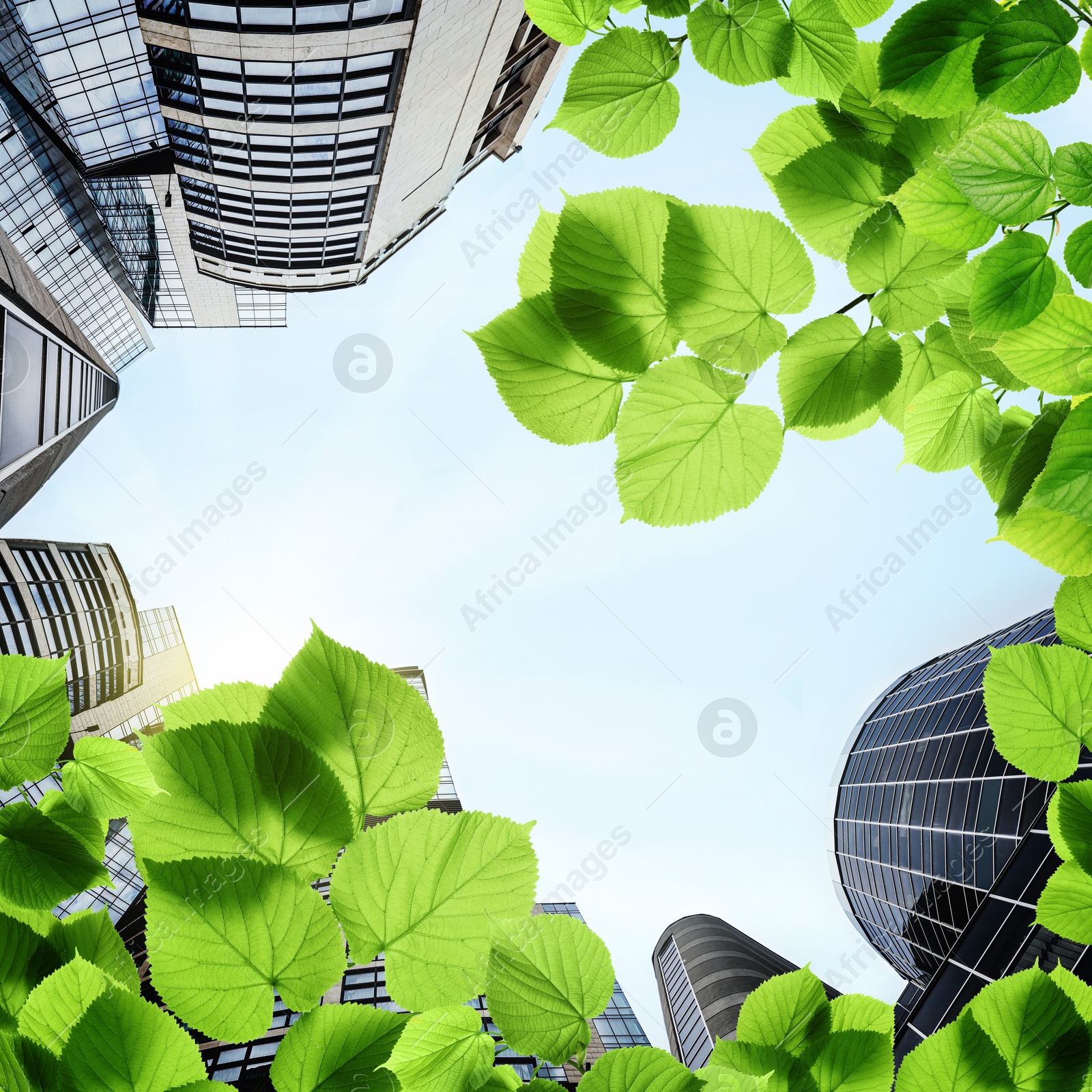 Image of Modern buildings, view through green leaves. Low angle