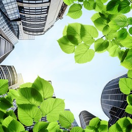 Image of Modern buildings, view through green leaves. Low angle