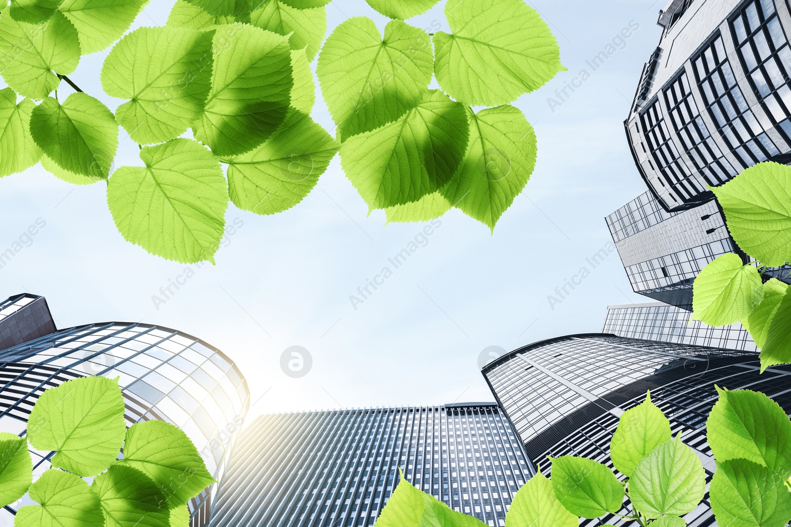 Image of Modern buildings on sunny day, view through green leaves. Low angle