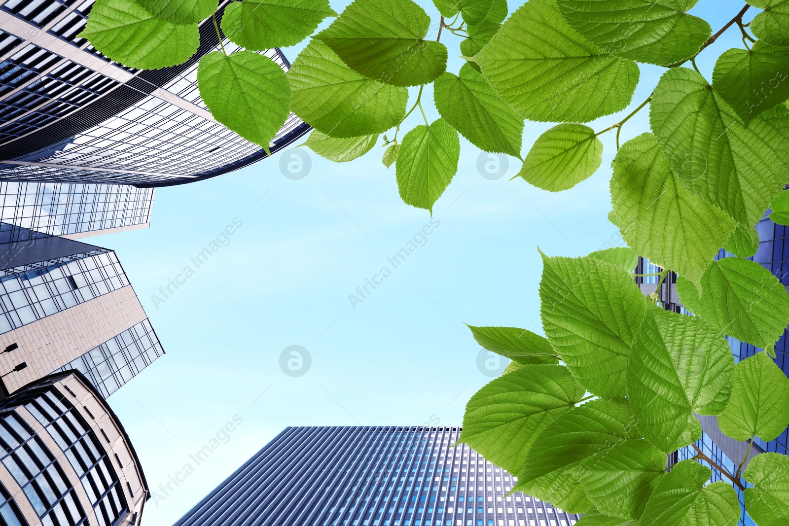 Image of Modern buildings, view through green leaves. Low angle