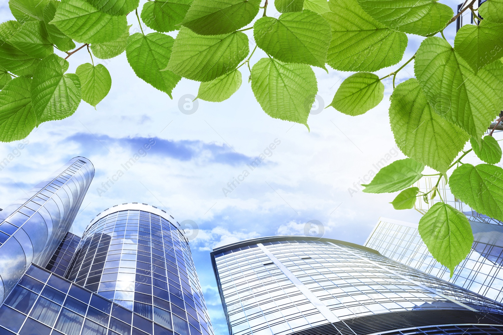 Image of Modern buildings, view through green leaves. Low angle