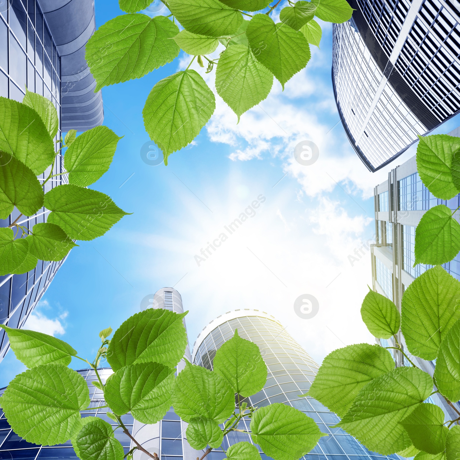 Image of Modern buildings on sunny day, view through green leaves. Low angle