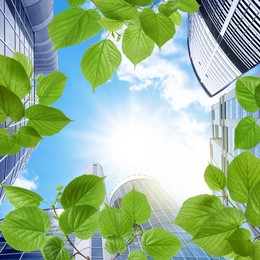 Image of Modern buildings on sunny day, view through green leaves. Low angle