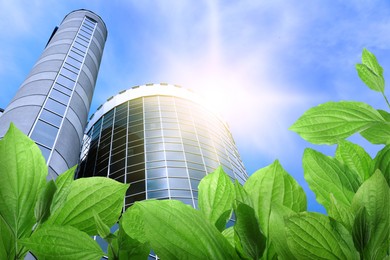 Image of Modern buildings on sunny day, view through green leaves. Low angle