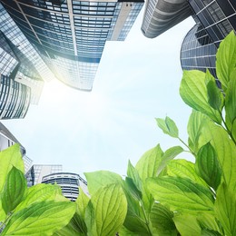 Image of Modern buildings on sunny day, view through green leaves. Low angle