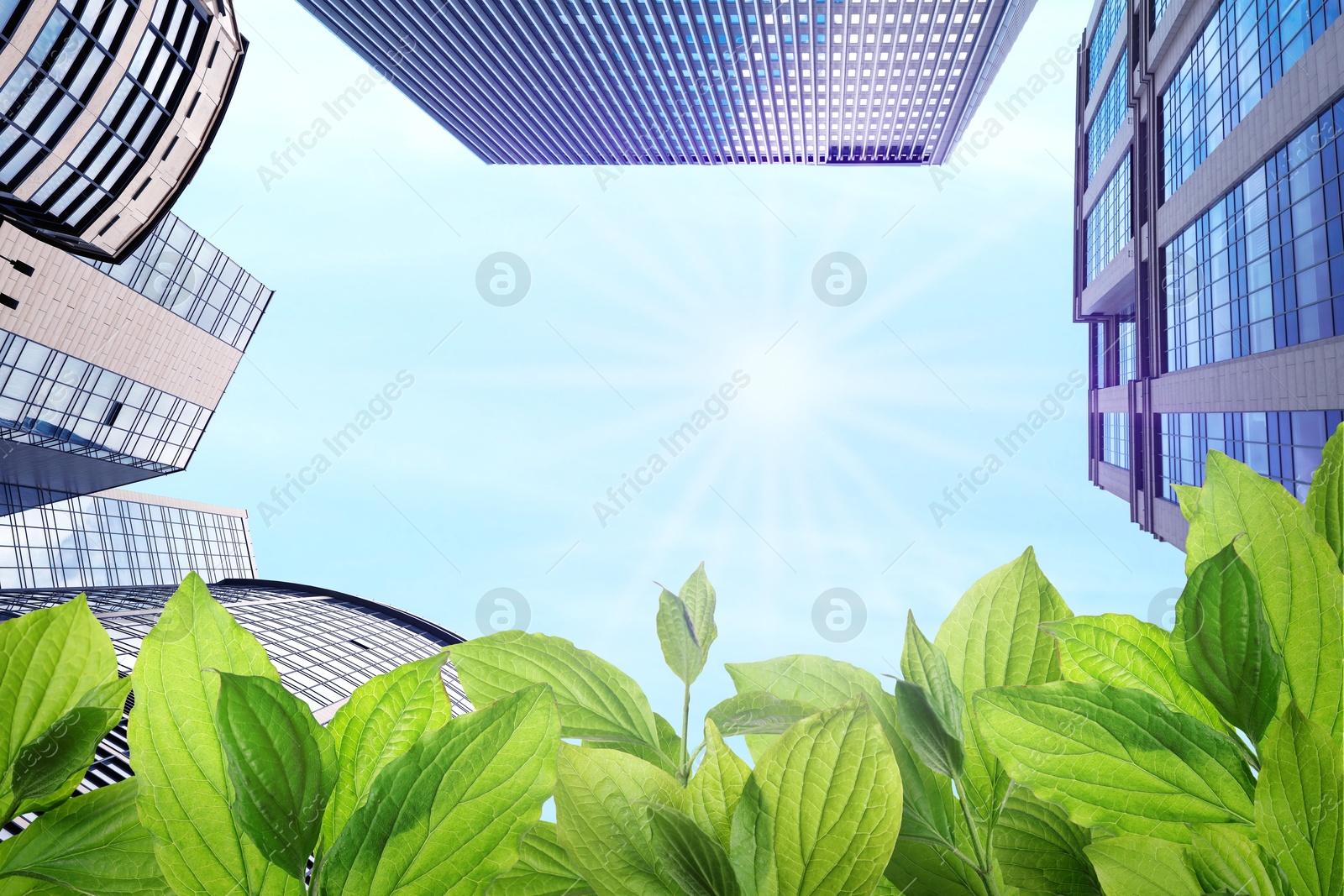 Image of Modern buildings, view through green leaves. Low angle