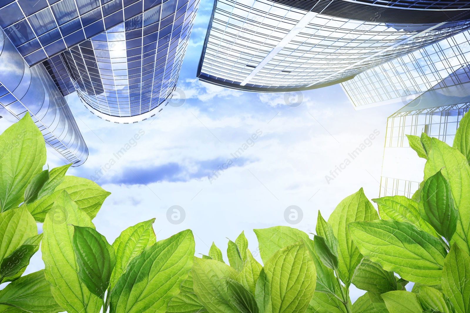 Image of Modern buildings on sunny day, view through green leaves. Low angle